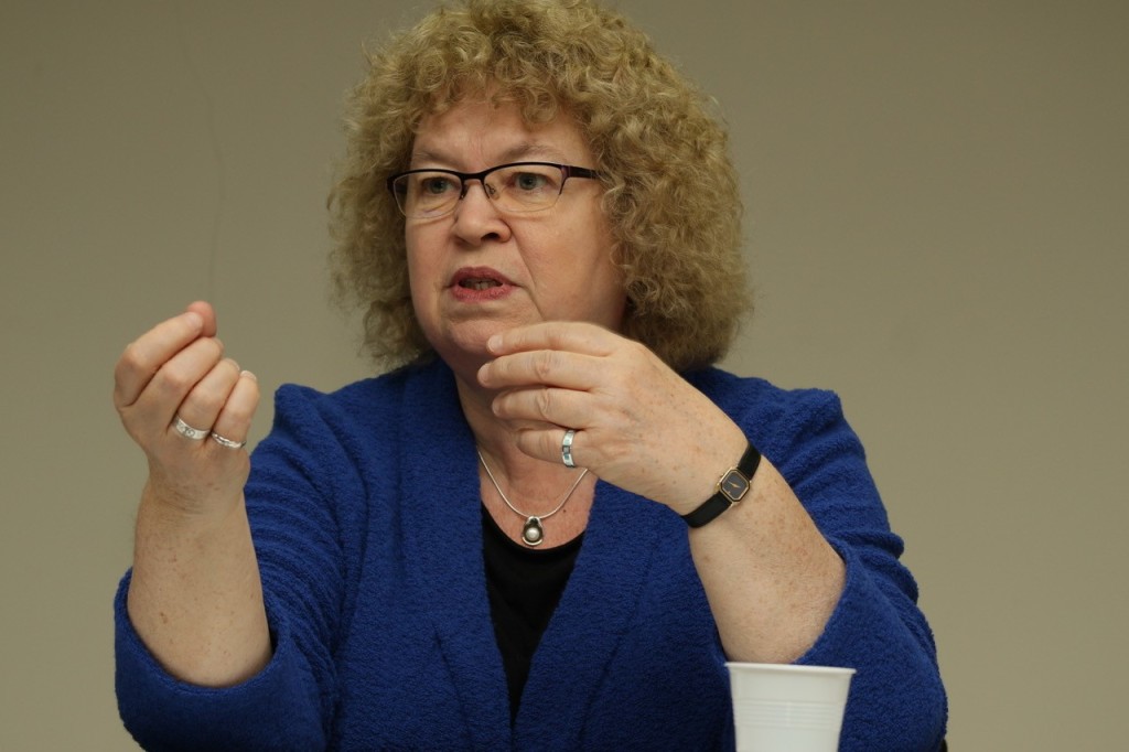 jean-lambert-mep-at-hclc-agm